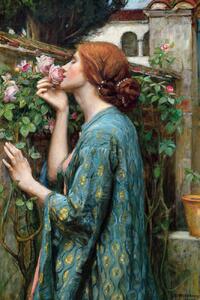 Reprodukció The Soul of The Rose (Vintage Female Portrait) - John William Waterhouse, (26.7 x 40 cm)