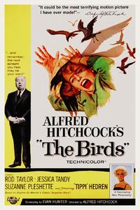 Festmény reprodukció The Birds / Alfred Hitchcock / Tippi Hedren (Retro Movie), (26.7 x 40 cm)