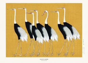Studio Collection - Festmény reprodukció Japanese Red Crown Crane, (40 x 30 cm)