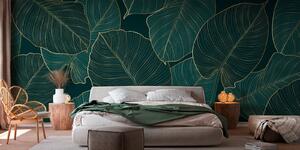 Fotótapéta Philodendron, Fotótapéta erdő, Fotótapéta erdő trópusok, u73653 : Uwalls.hu