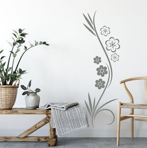 Falmatrica nappaliba - Növény