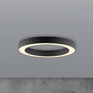 PURE Lines LED mennyezeti lámpa, 35 cm átmérőjű, grafit színű, CCT,, dimmelhető, Fekete, Nappali / Étkező, Alumínium, Modern