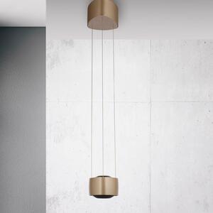 Paul Neuhaus LED függő világítás Q-Stretto, bronz, 14,5 cm, dimmelhető, Bronz / antik sárgaréz, Nappali / Étkező, fém, Modern