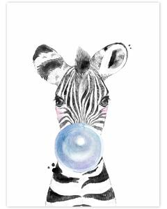 Képek falra - Zebra kék buborékkal