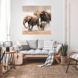 Falmatrica állatos motívummal - Elefántok