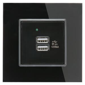 Egyes Fekete Üvegkeretes Dupla USB Csatlakozó