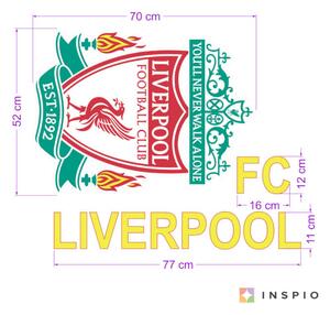 Falmatrica - FC Liverpool