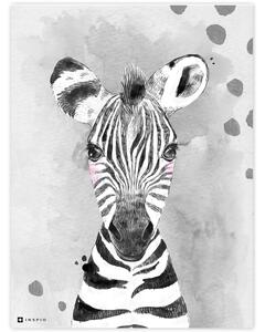 Dekorációs táblák gyerekeknek - Színes zebra