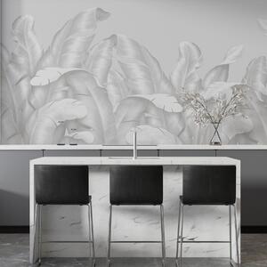 Fotótapéta Elegáns levelek lágy fehér tónusokban, Természet fotótapéta, Fotótapéta természet pálmalevelek, w00019v2 : Uwalls.hu