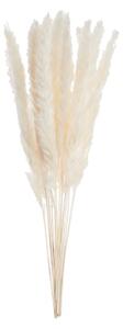 FLOWER MARKET mini pampafű csokor, fehér 30 cm