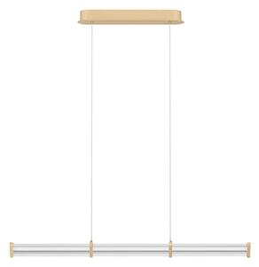 Pheme LED egyágú függesztett lámpa