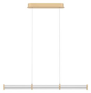 Pheme LED egyágú függesztett lámpa