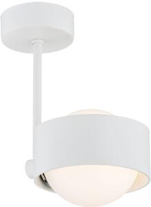 Argon Massimo Plus mennyezeti lámpa 1x6 W fehér-opál 8058