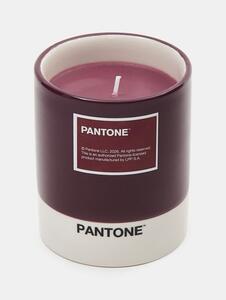 Sinsay - Gyertya Pantone - mályva