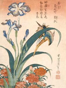 Hokusai, Katsushika - Festmény reprodukció Kingfisher, (30 x 40 cm)