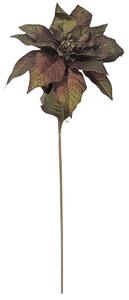 Mikulásvirág Poinsettia Euphorbia Pulcherrima 80cm barna-zöld művirág