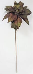 Mikulásvirág Poinsettia Euphorbia Pulcherrima 80cm barna-zöld művirág