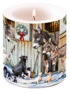 Karácsonyi Átvilágítós Gyertya - Animal Friends - 8x7,5cm