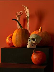 Sinsay - Halloween dekoráció - fehér