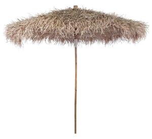 Bambusz Napernyő Banánlevéllel - 210 cm