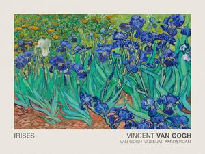 Reprodukció Irises (Museum Vintage Floral / Flower Landscape) - Vincent van Gogh, (40 x 30 cm)