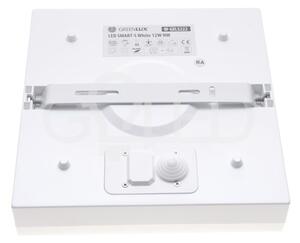 Vízálló felszín négyszög LED lámpa 12W IP44