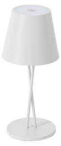 Kültéri Lámpa Lindby, Janea, dimmable, Fehér, Terasz, Fém, Modern