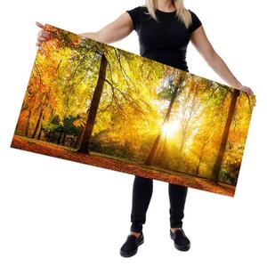 Wallplex falburkoló konyhapanel Őszi erdő (Méret: Kicsi 60x120)