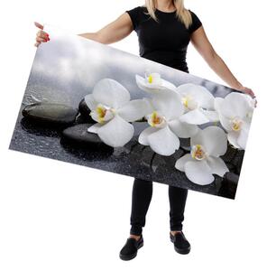 Wallplex falburkoló konyhapanel Orchidea (Méret: Kicsi 60x120)