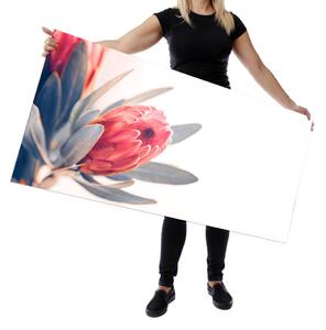 Wallplex falburkoló konyhapanel Protea virág (Méret: Kicsi 60x120)