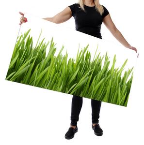 Wallplex falburkoló konyhapanel Fű (Méret: Óriás 60x300)