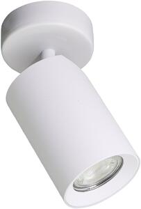 Zuma Line Tore mennyezeti lámpa 1x50 W fehér TLS006-WH