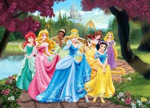 Disney Hercegnők poszter 160 cm x 110 cm