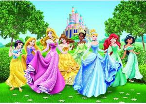 Disney Hercegnők óriás poszter 360 cm x 255 cm