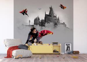 Harry Potter óriás poszter | 300 cm x 270 cm