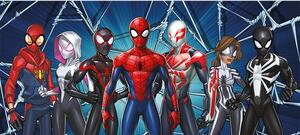 Pókember, Spiderman poszter, 202 cm x 90 cm