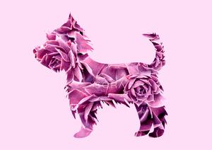 Yorkshire terrier fotógrafika nyomat falikép