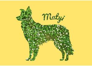 Border collie fotógrafika falikép saját névvel