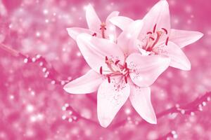 Öntapadó fotótapéta liliom rózsaszínben