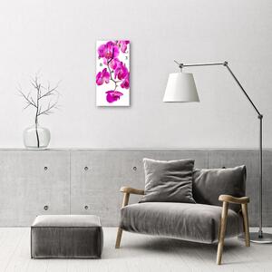 Téglalap alakú üvegóra Orchideák Rózsaszín virágok 30x60