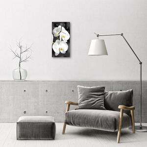 Téglalap alakú üvegóra Fehér orchidea virágok 30x60