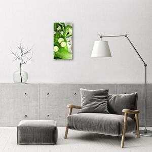 Téglalap alakú üvegóra Konyhai zöldség zöldpaprika 30x60