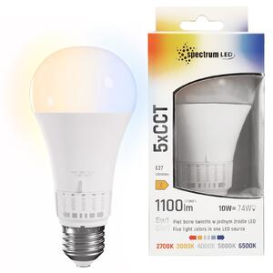 LED izzó 5 fényárnyalattal GLS E27 230V 10W 5CCT