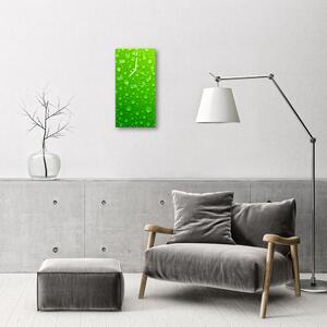 Négyszögletes fali üvegóra Nature csepp víz harmat zöld 30x60
