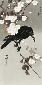Crow And Cherry Blossom Festmény reprodukció, Ohara Koson, (20 x 40 cm)