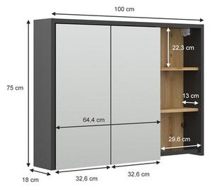 Vicco Viola tükrös szekrény 100x75 cm, antracit/tölgy