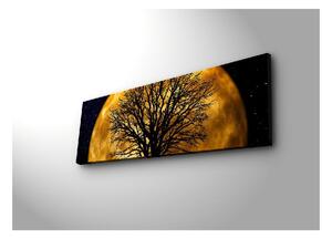 Night falikép háttérvilágítással, 90 x 30 cm - Wallity