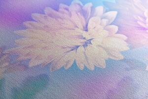 Kép chrizantén virág