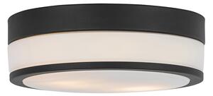Modern kültéri mennyezeti lámpa fekete 28 cm IP44 - Flavi