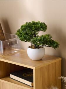 Sinsay - Bonsai fa cserépben - zöld